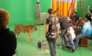 The Jadagrace Show - A Tiger's Tale